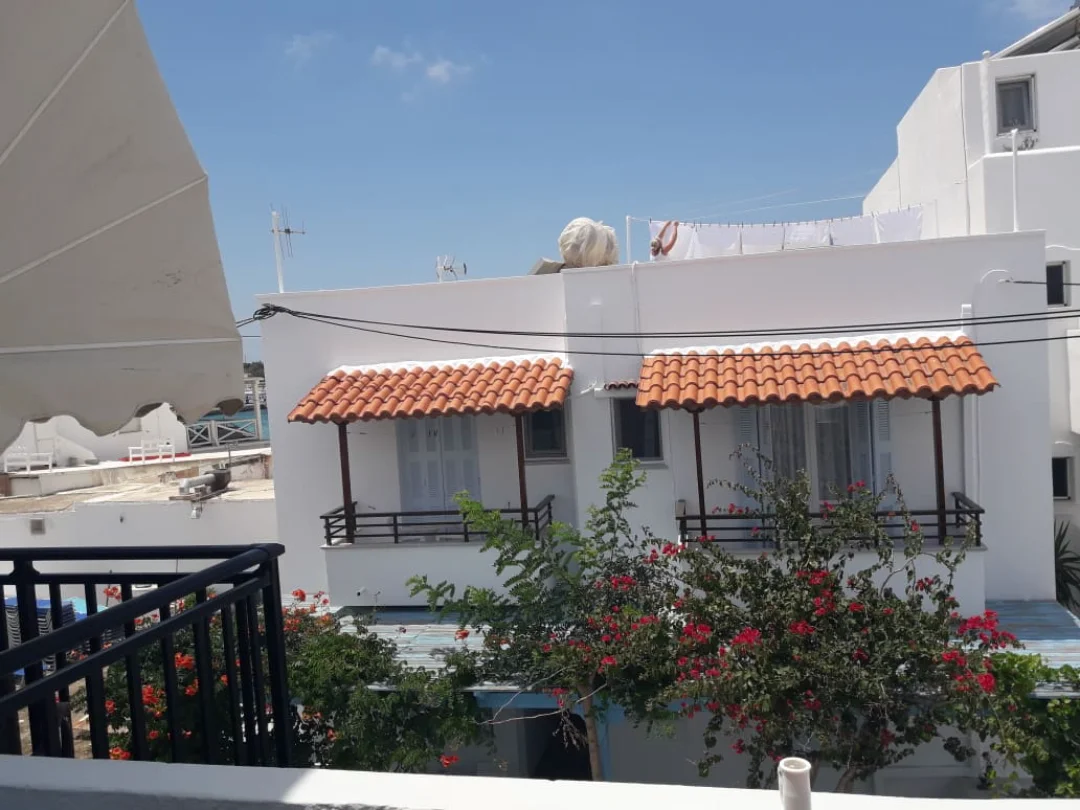 35628696_10204515897374172_939105594386677760_n